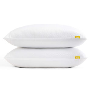 Snug Blissful Bedtime Pillow Pair