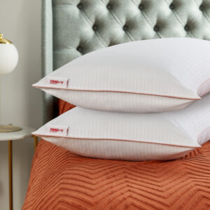 Cosmo Living by Cosmopolitan Pillow Pair