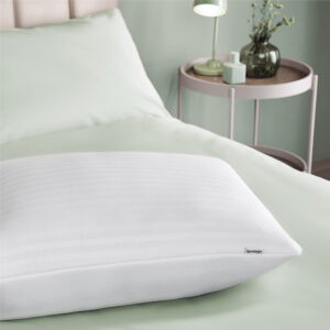 Silentnight Sink-in Anti-allergy Memory Foam Pillow Pair
